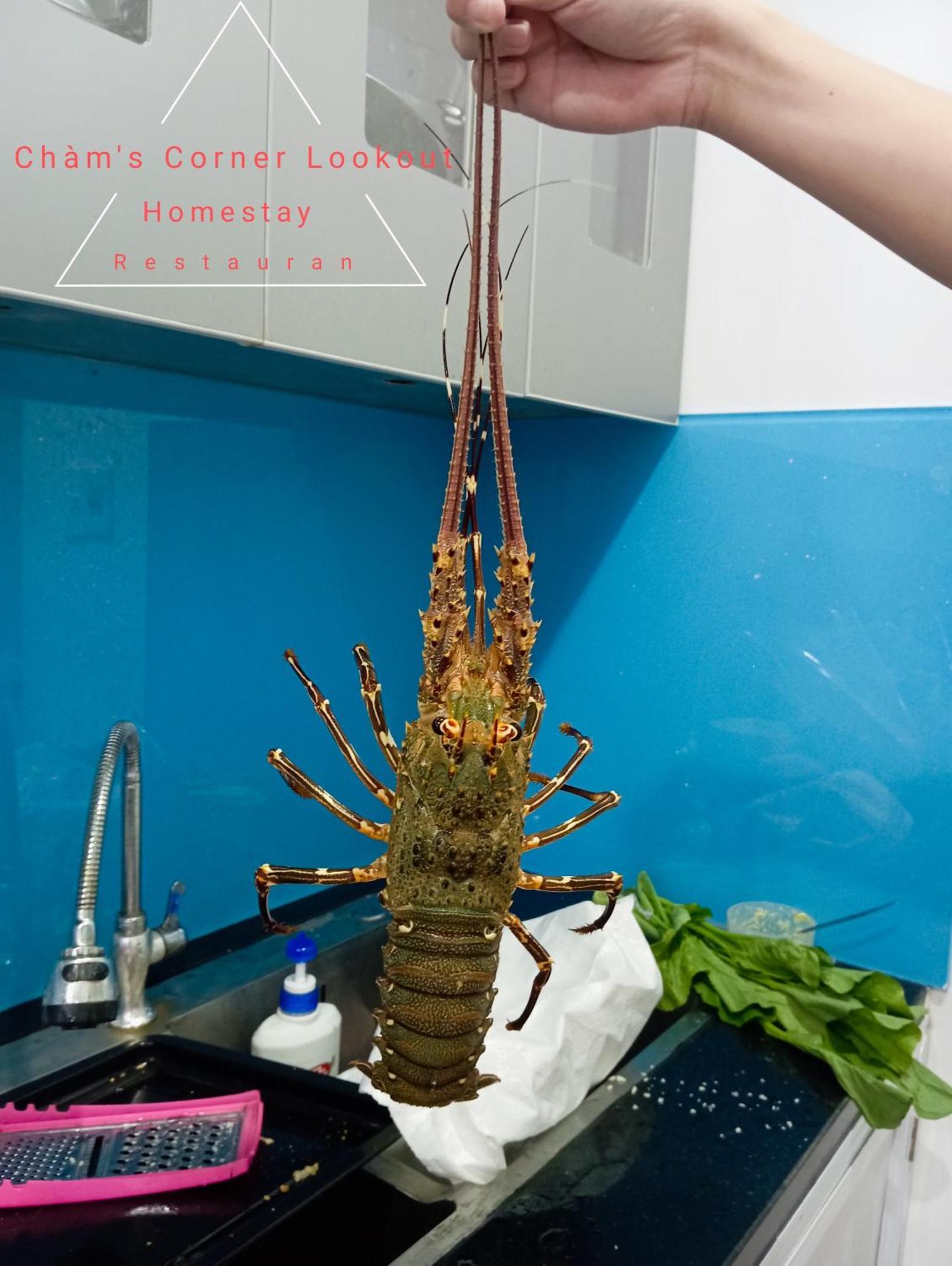 Cham'S Corner Lookout Homestay & Restaurant Tân Hiệ Kültér fotó