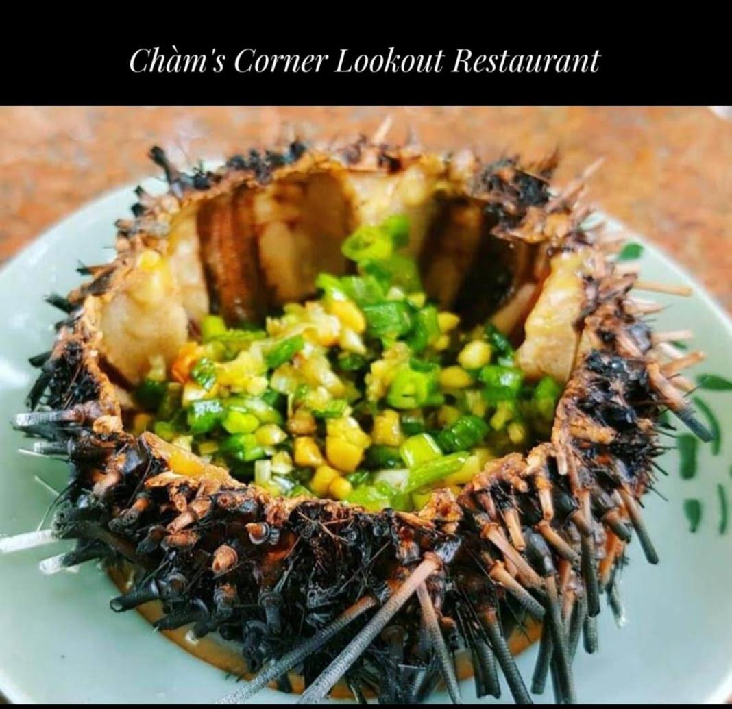 Cham'S Corner Lookout Homestay & Restaurant Tân Hiệ Kültér fotó